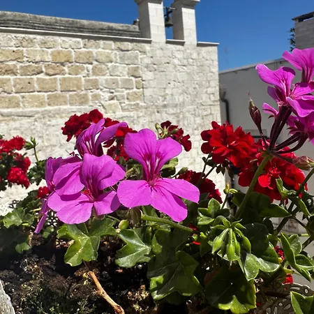 Sigo לינה וארוחת בוקר